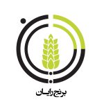 برنج رایان