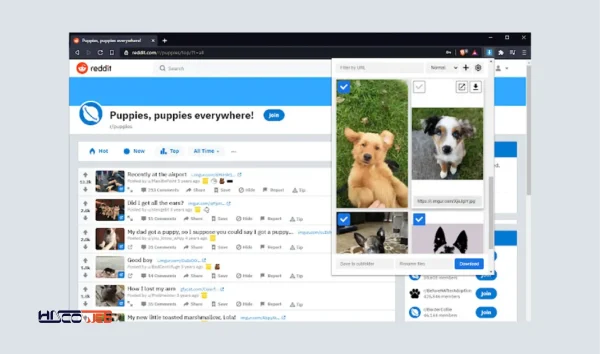 افزونه Image Downloader