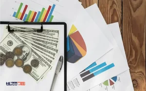 سئو سایت وردپرس با قیمت ارزان: راهنمای جامع برای کسب‌وکارها