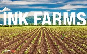 مزرعه لینک (link farm) چیست؟